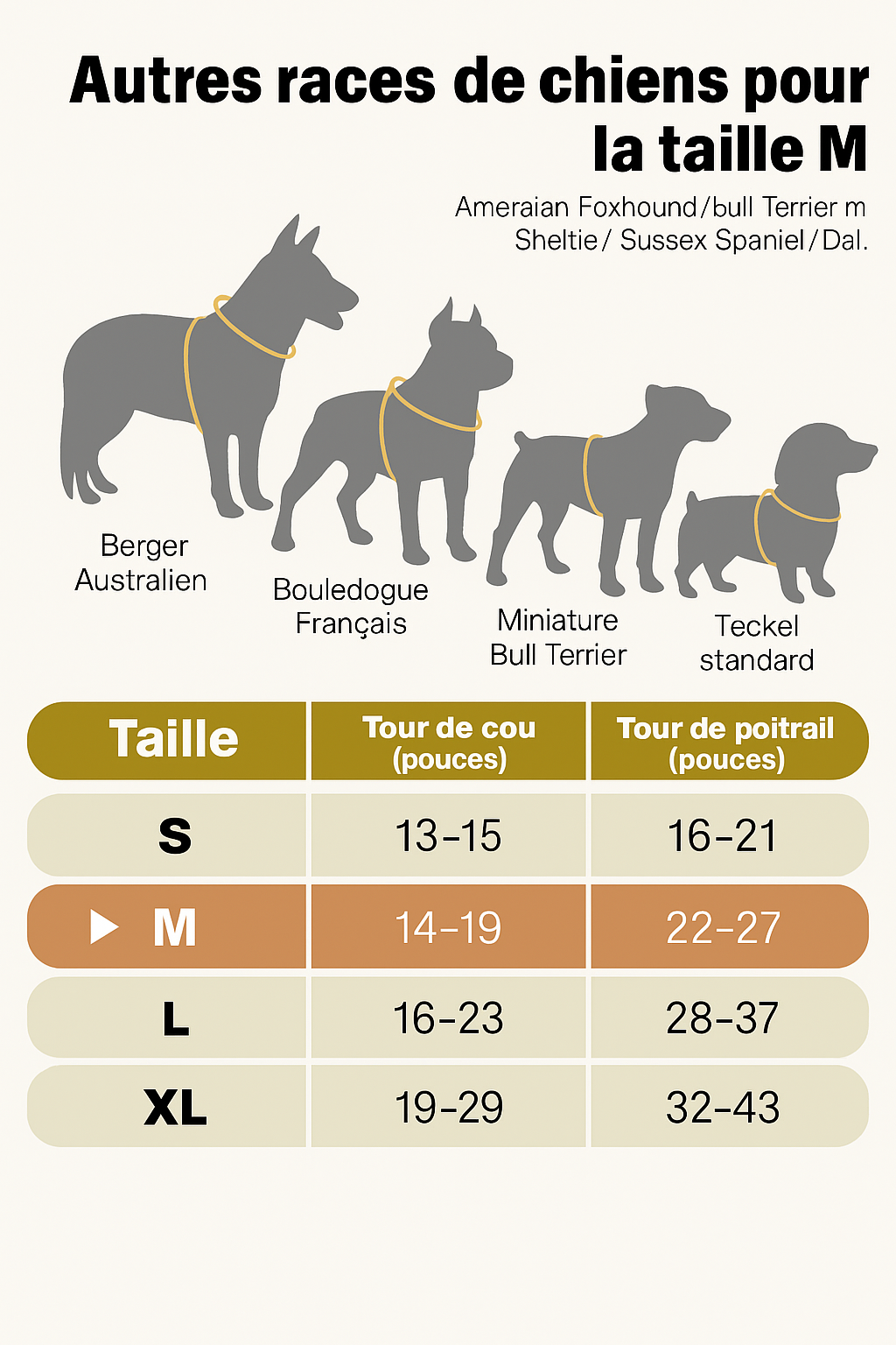 Harnais lumineux Led