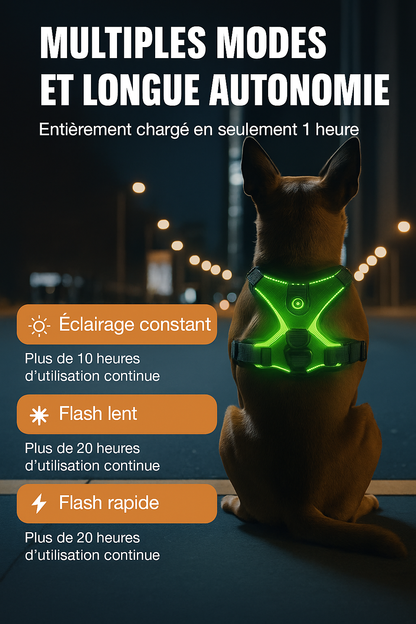 Harnais lumineux Led