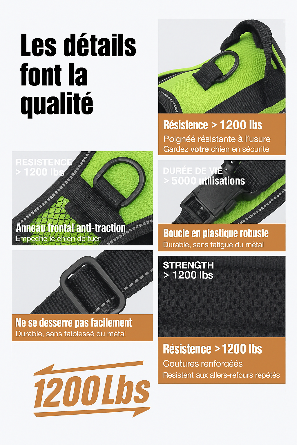 Harnais lumineux Led