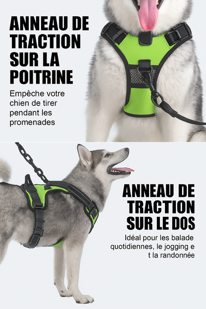 Harnais lumineux Led